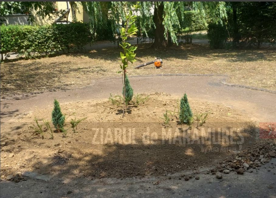 (FOTO)La solicitarea locatarilor, SPAU Baia Mare a amenajat un nou mini parc în zona D. Cantemir colț cu V. Babeș