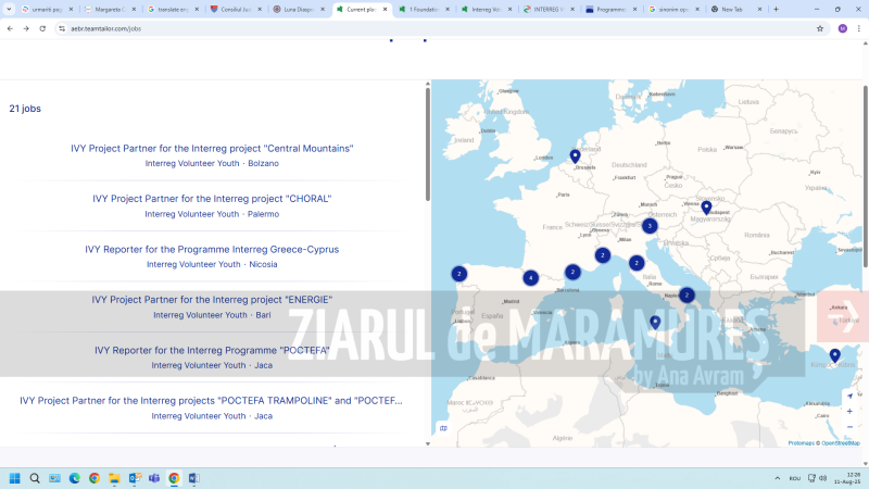 CJ MM. Oportunități de voluntariat pentru tineri, prin inițiativa Interreg Volunteer Youth – Tineri Voluntari Interreg