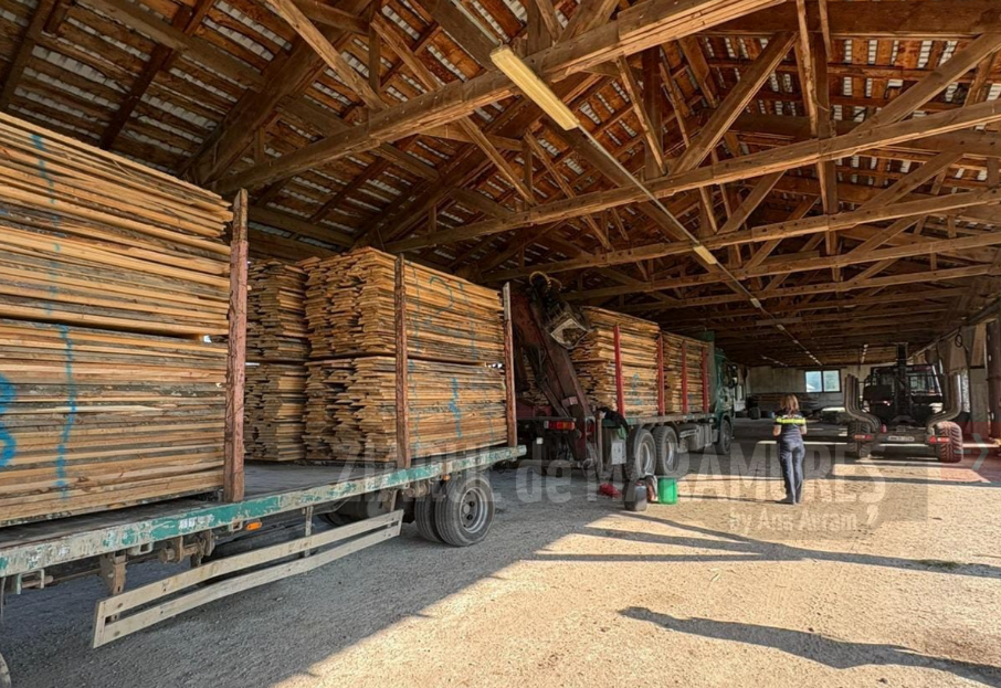 25 mc de cherestea, esență fag, confiscată de polițiștii din Suciu de Sus. Autocamionul a fost indisponibilizat