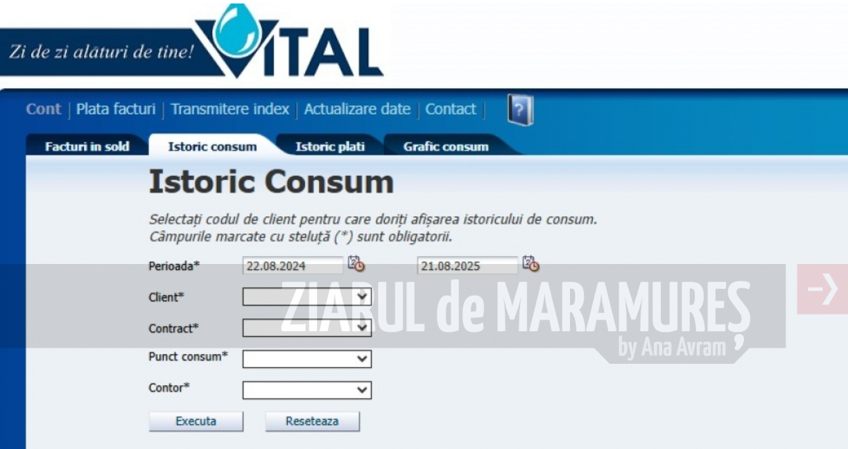 Beneficiile utilizării portalului CONTUL MEU – Graficul de consum