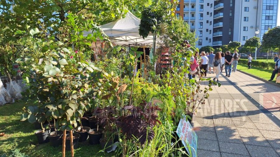 EXPO FLORA 2025, deschiderea oficială este vineri de la ora 12.00, în Parcul Central