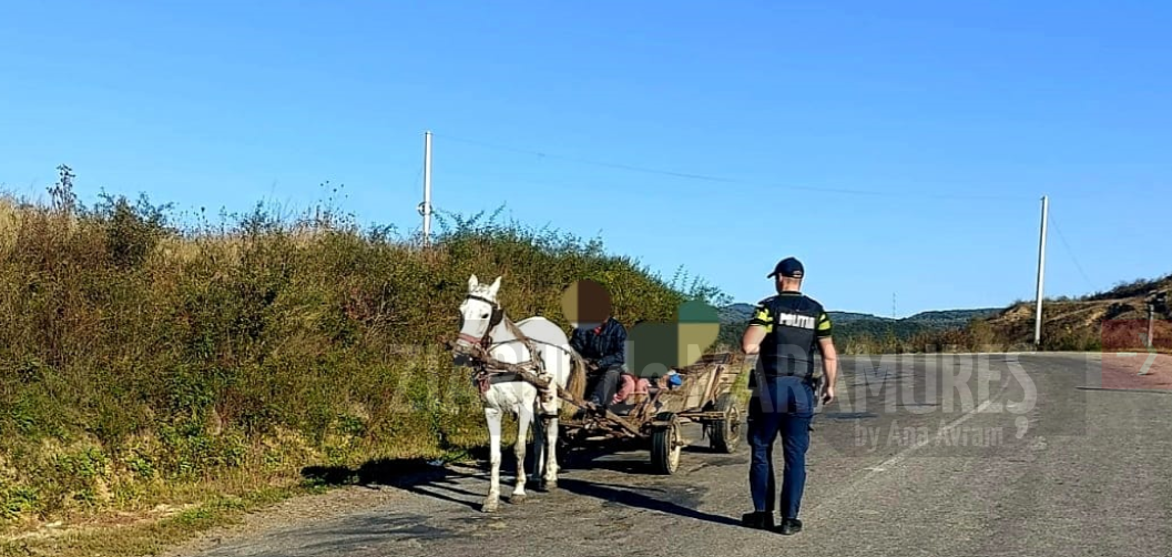 Controale în trafic la Cavnic și Coroieni. Amenzile aplicate de polițiști, se ridică la peste 10.000 lei