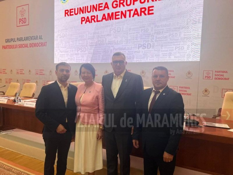 Ședințe comune succesive. Pachetul 2 de reformă. Sorin Vlașin, senator: Ne dorim eficientizarea însă nu cu riscul de a falimenta firmele mici și mijlocii