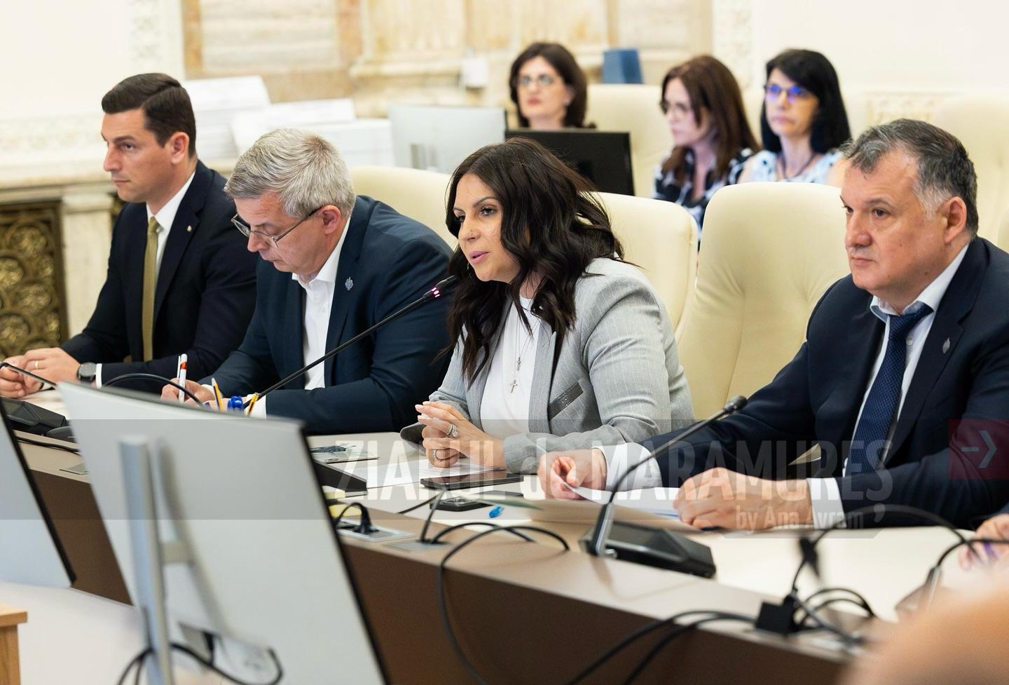 Noua formă a Legii RCA. Ionel Bogdan, deputat: Despăgubirile vor fi achitate ulterior reparației vehiculului avariat