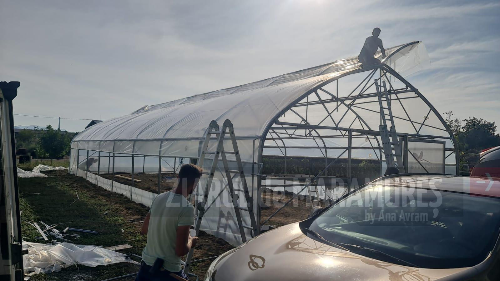 SPAU Baia Mare are o seră nouă. Aceasta va găzdui trandafiri, lalele, iriși și streliția