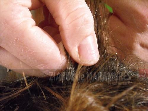 Copii cu păduchi la Centrul Școlar de Educație Incluzivă Vișeu de Sus. DSP Maramures a fost în control!