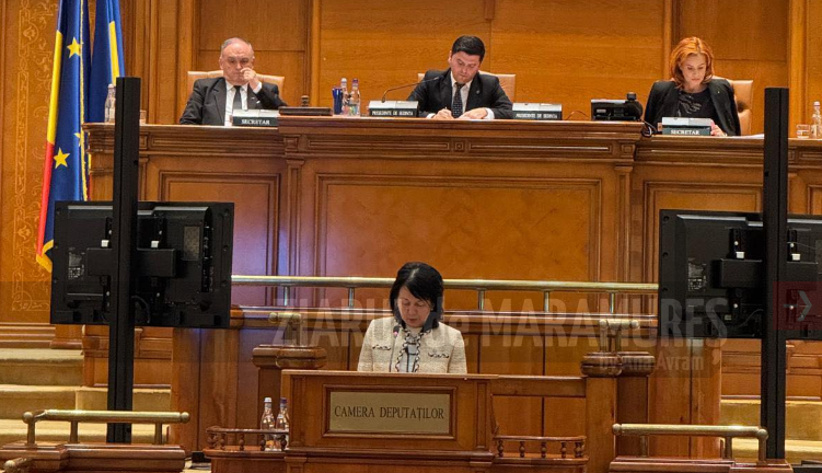 Deputat Crina Chilat a susținut PLx 405/2024, care prevede creșterea plafonului de garantare a creditelor pentru investiții