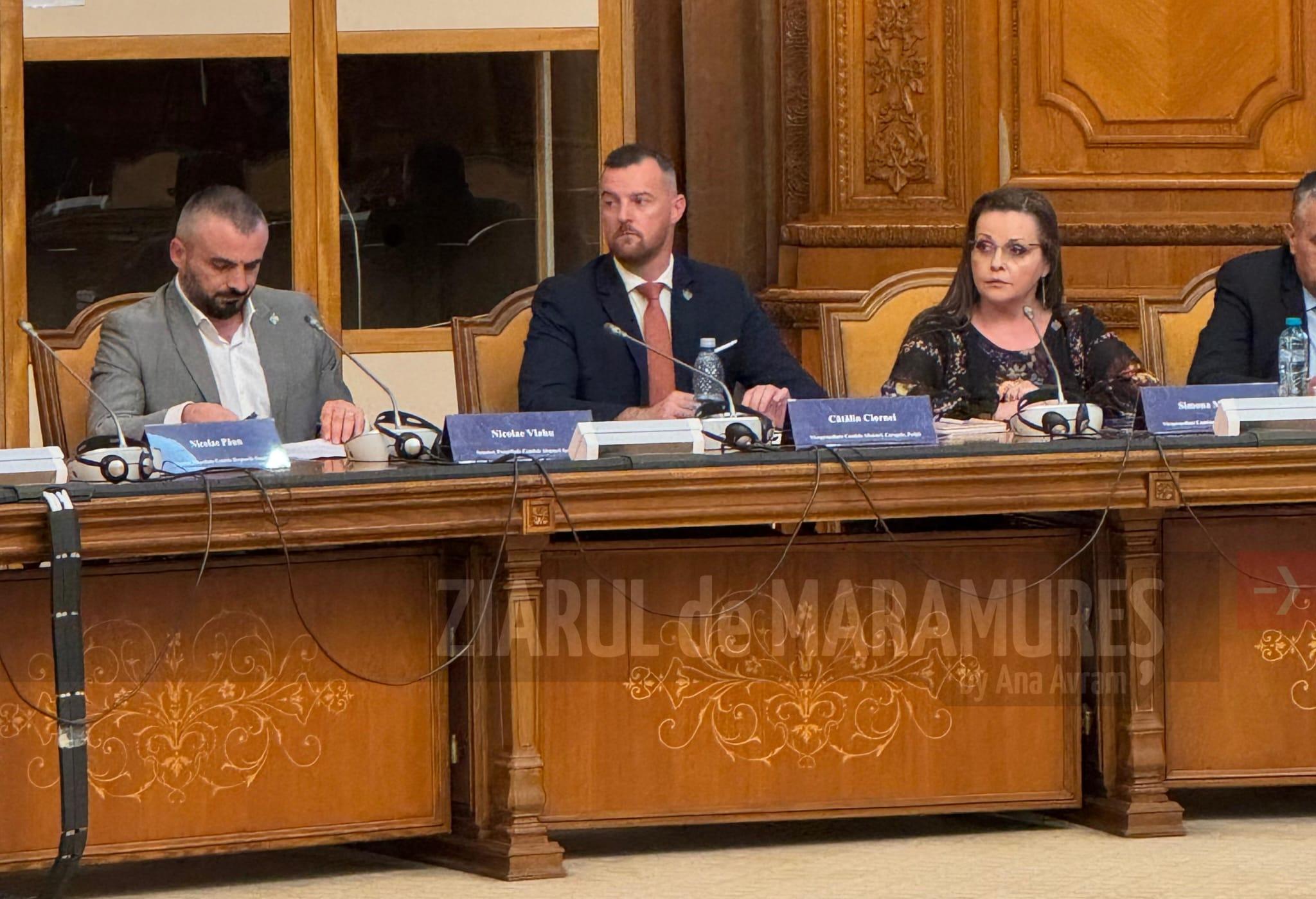 Reforma legii penale, dezbătută în Parlament: prevenție, condamnare justă și reinserție socială. Daniel Ciornei, deputat: ”Justiția este coloana vertebrală a societății!”
