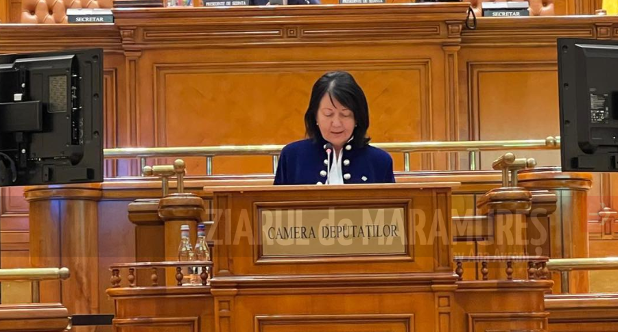 Comunitățile montane din Maramureș trebuie sprijinite și nu pedepsite, consideră Crina Chilat, deputat PSD Maramureș