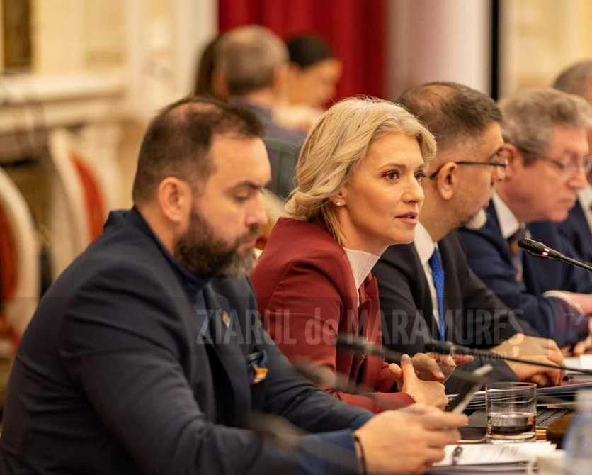 Cristian Niculescu Țâgârlaș, senator: Este inacceptabil ca în România anului 2025, femeile și copiii să trăiască cu frică în propria casă