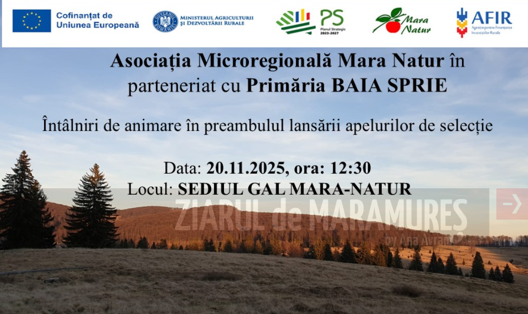 Baia Sprie. Întâlnire publică de informare pentru a face cunoscută Strategia de Dezvoltare Locală aferentă perioadei 2023-2027