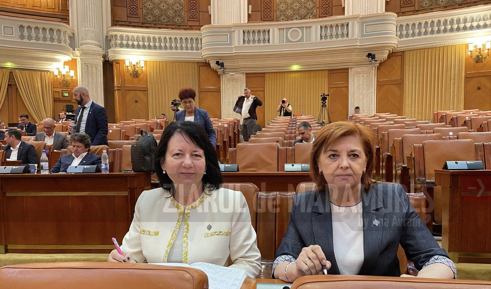 Depunerea în Parlament a Proiectului de Lege pentru prevenirea și combaterea femicidelor. Crina Chilat, deputat: Femicidul este expresia cea mai crudă a inegalității de gen