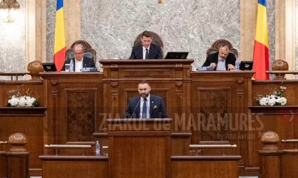 Cristian N. Țagarlas: Legislația trebuie să protejeze interesele publicului, spune senatorul și juristul.