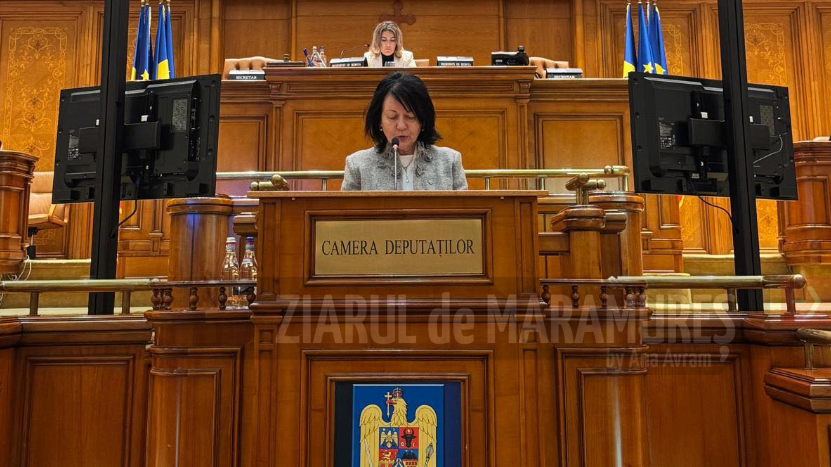 Deputat Crina Chilat a solicitat în plenul Camerei Deputaților reanalizarea tarifelor impuse de Poșta Română pentru distribuția presei scrise