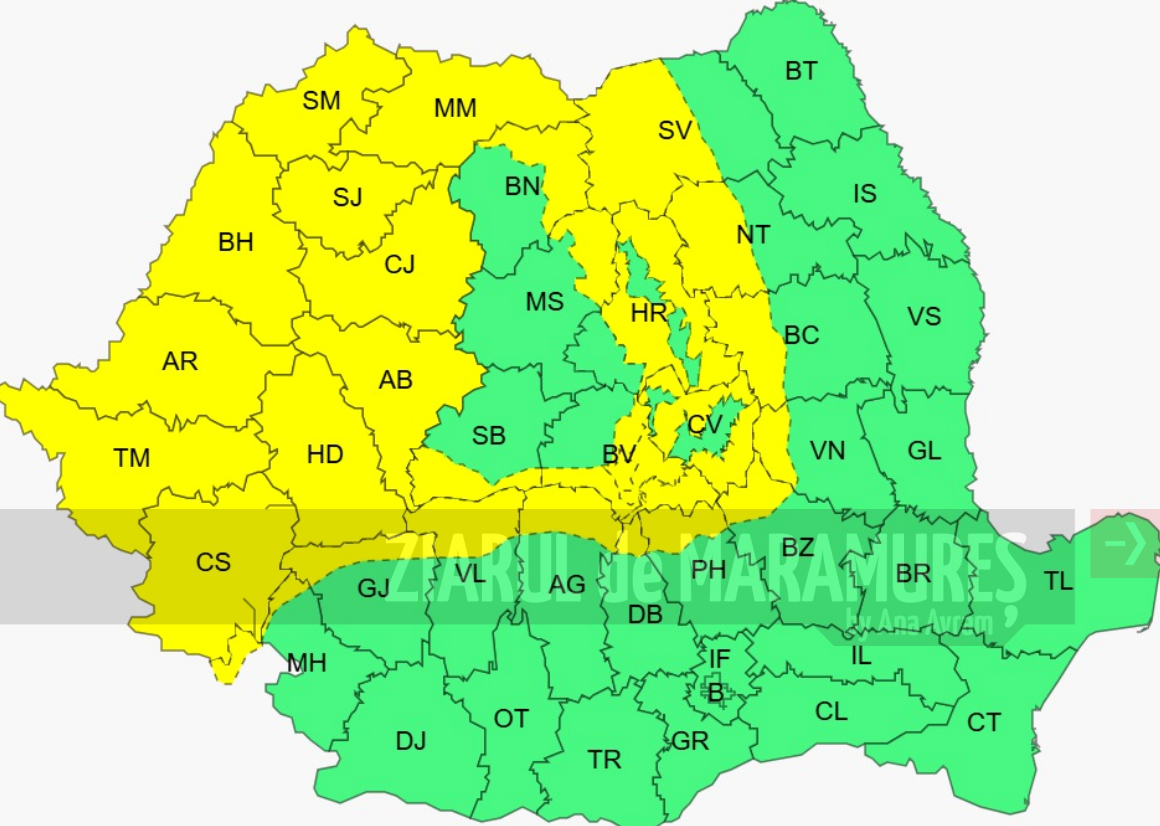 COD GALBEN de vânt în Maramureș, Banat, Crișana și în vestul Transilvaniei