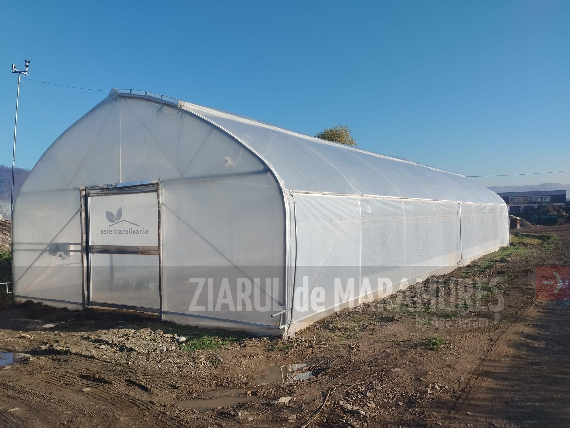 Noul solar SPAU Baia Mare va găzdui peste 4.000 de flori