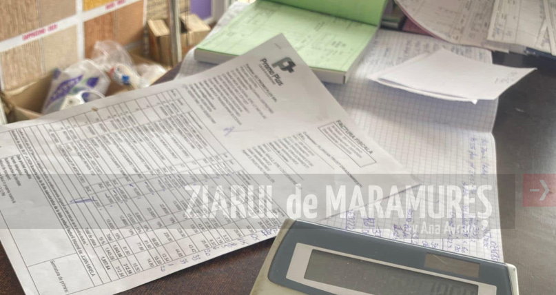 Practica economică la Vișeu de Sus în 2025