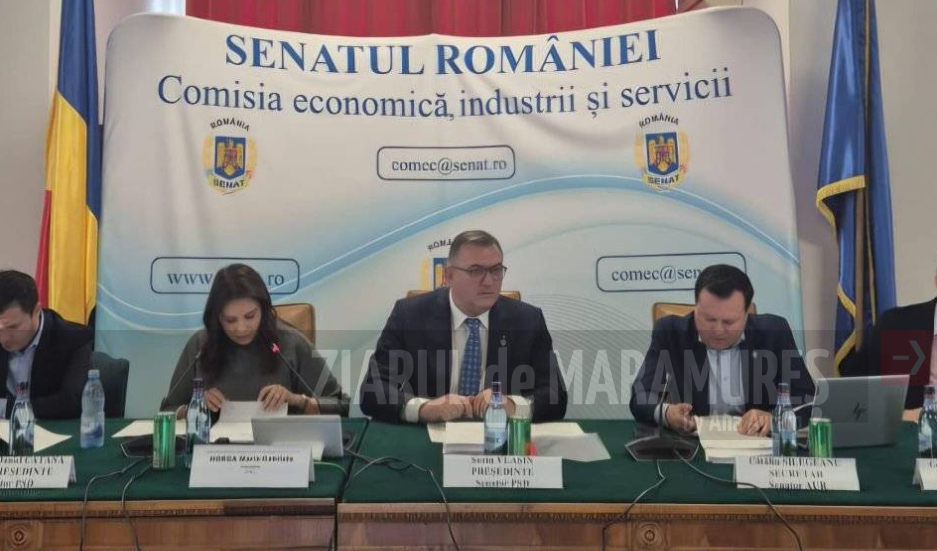 Senator Sorin Vlașin: Problema energiei a reprezentat mereu o prioritate pentru Comisia Economică a Senatului