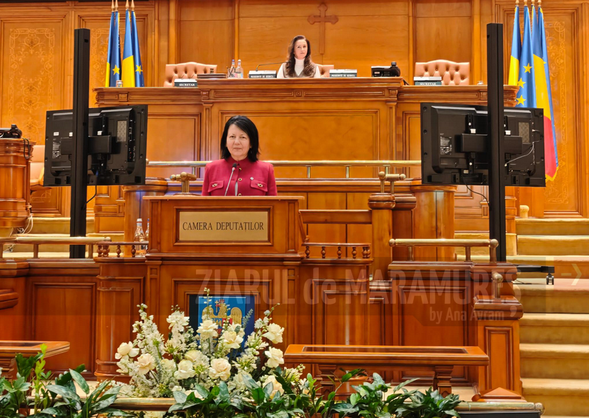 Crina Chilat, deputat PSD: Un nou orizont pentru Maramureș. Punct de frontieră la Poienile de Sub Munte