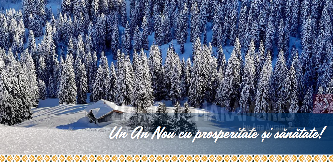 Senator Cristian-Augustin NICULESCU-ȚÂGÂRLAȘ: Noul An să ne găsească uniți, sănătoși și cu inimile deschise. Sărbători fericite!