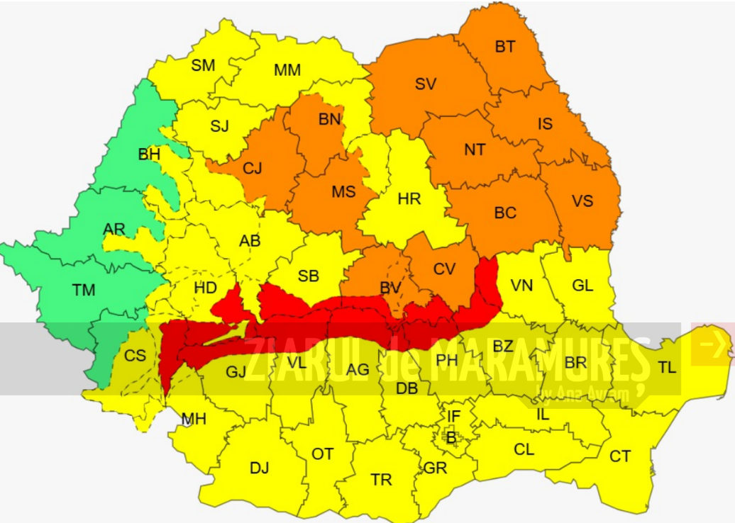 Cod GALBEN de ninsoare în Maramureș, Transilvania, Moldova și Dobrogea