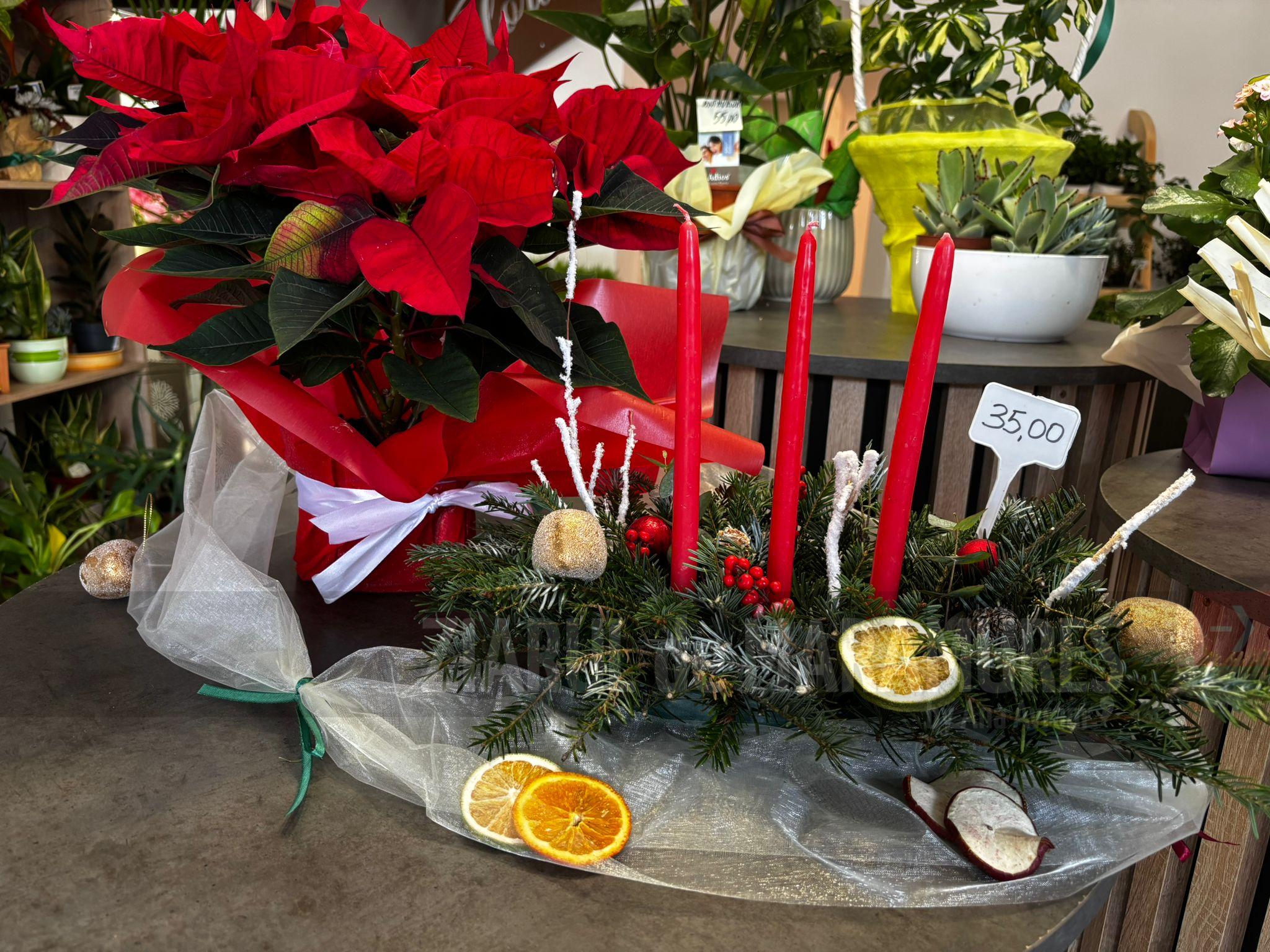 (FOTO)Aranjamente naturale bioflor cu preturi de la 30 de lei, în cele două florării SPAU, Ambient și Flora