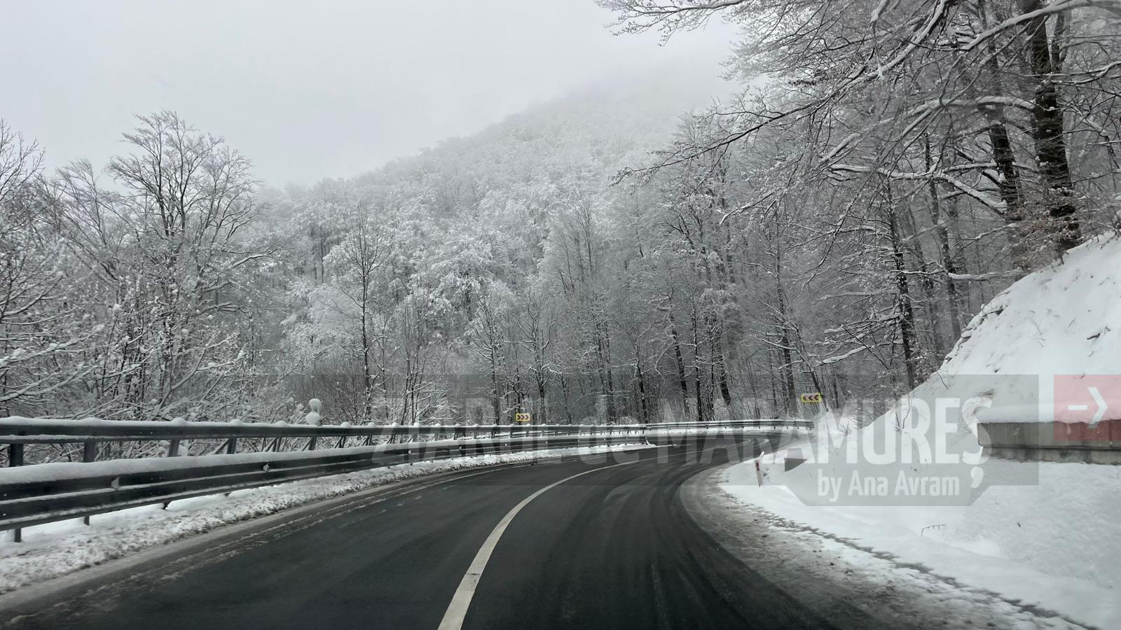 INFO TRAFIC. Carosabilul sectoarelor de drumuri naționale este curat și umed