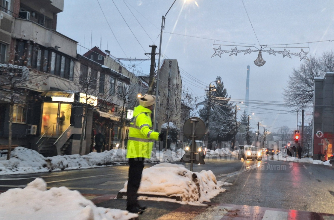 559 de sesizări telefonice la Dispeceratul Poliției Locale Baia Mare, în prima lună din an