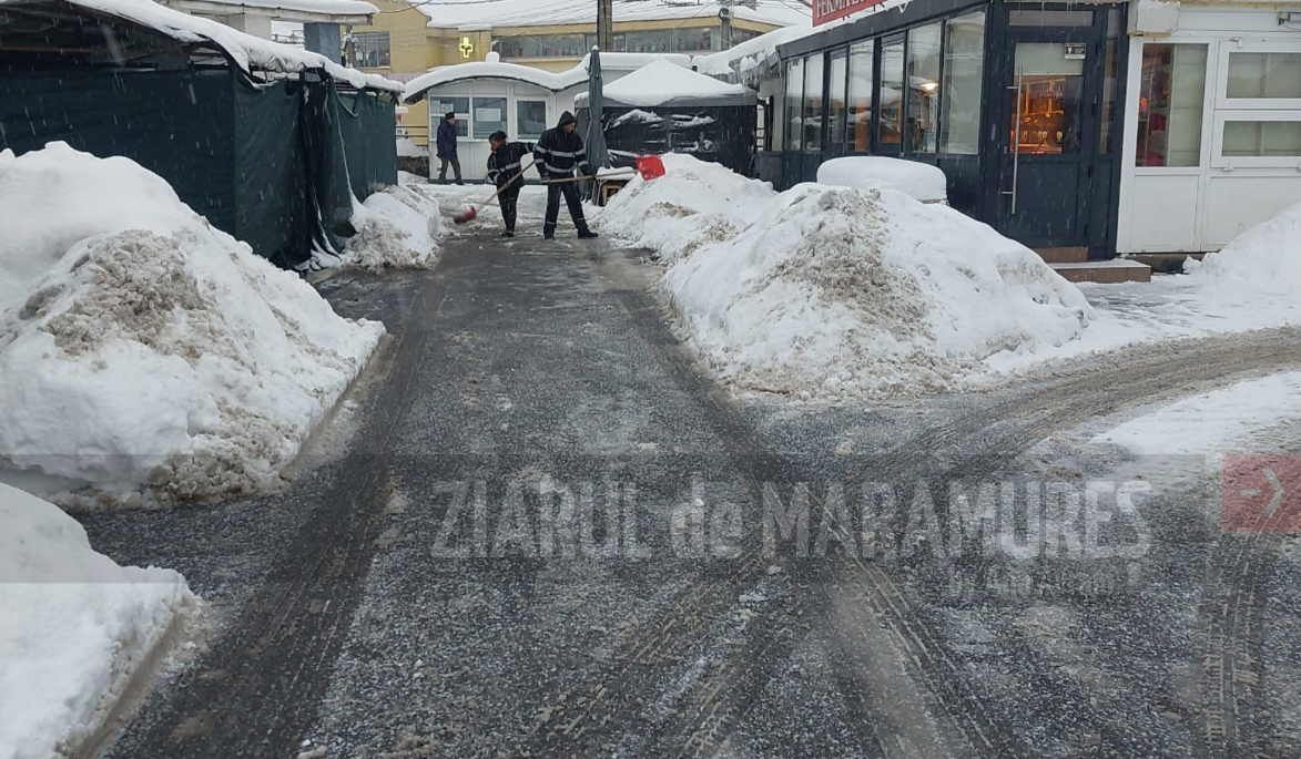 (FOTO) Angajații Serviciului Public Ambient Urban Baia Mare intervin pentru curățarea și transportul zăpezii