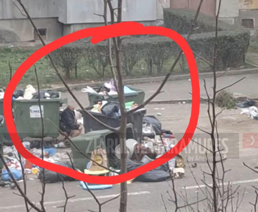 Eliminarea fluidelor biologice, a scuipatului, dar și a gunoiului în plină stradă ar trebui sancționate. Are Baia Mare un ales local curajos?