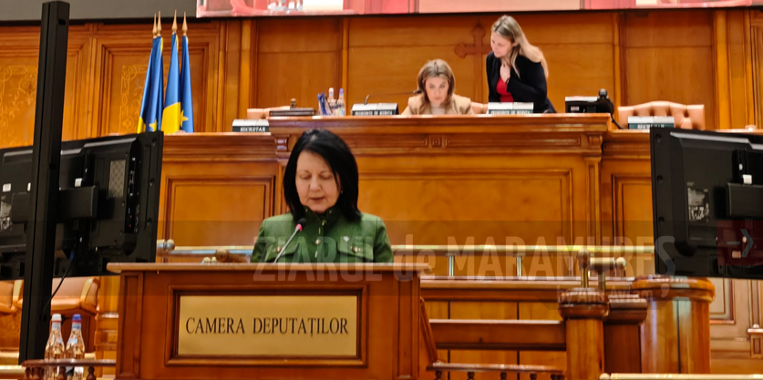 Crina Chilat, deputat: Este foarte important ca apicultura să fie recunoscută drept activitate agricolă strategică