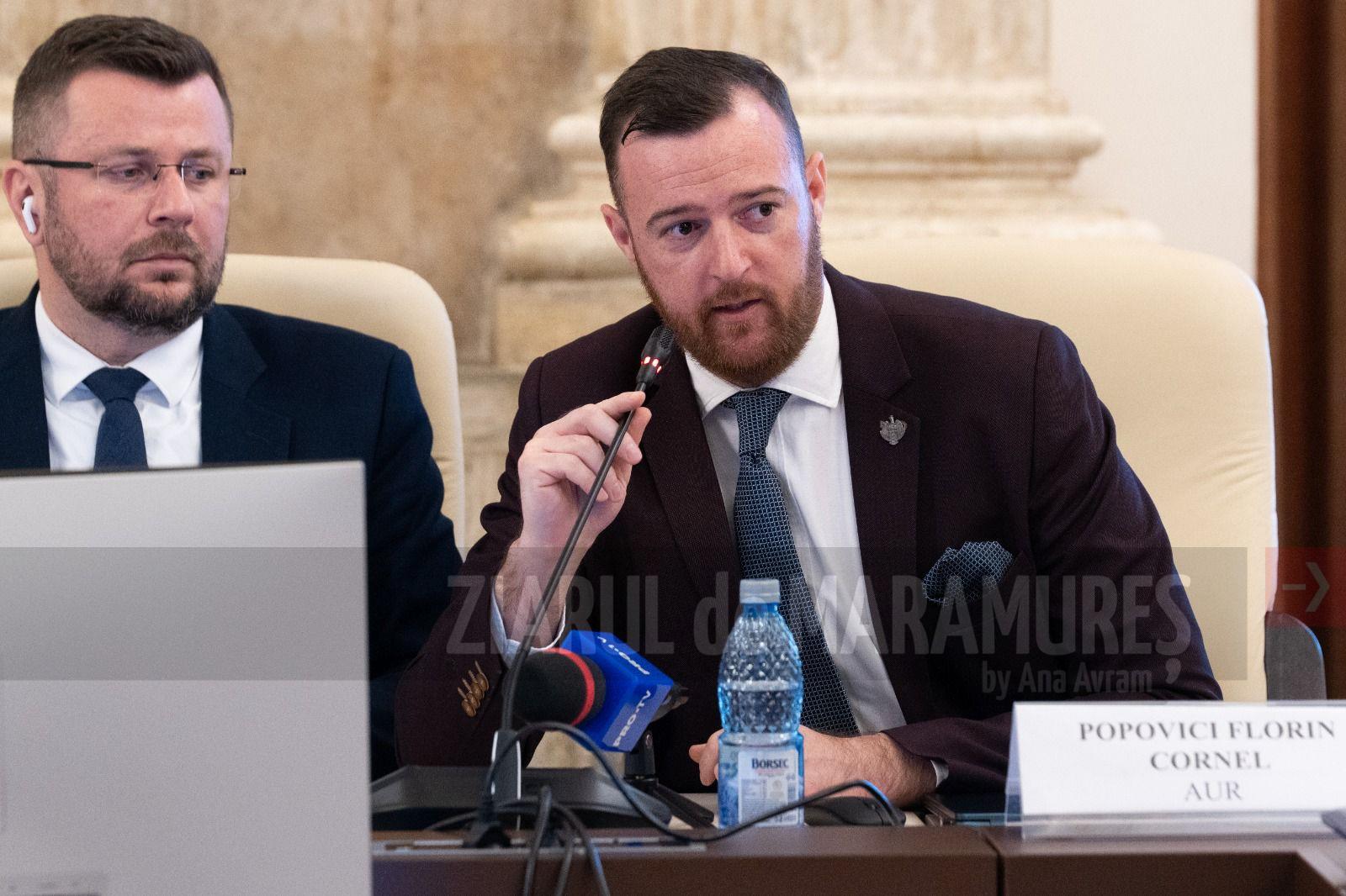 Deputat Daniel Ciornei: Amendament AUR adoptat în comisiile de buget. 6 mil. lei pentru dezvoltarea centrelor dedicate românilor din diaspora