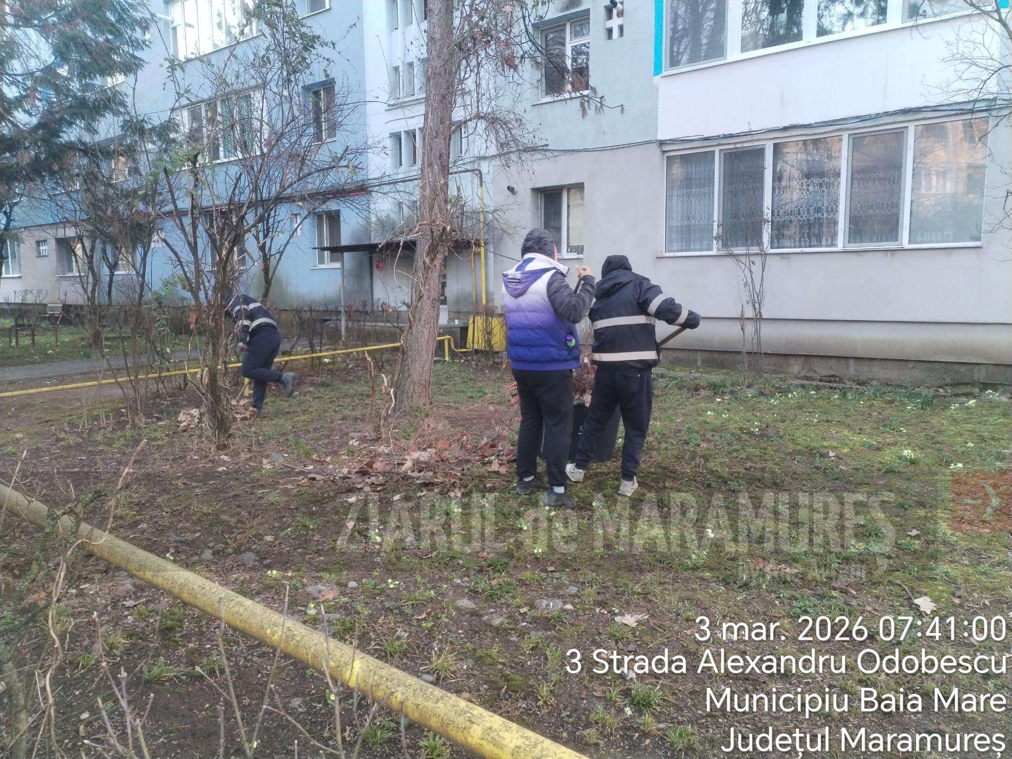 SPAU BM. Curățenia de primăvară. Greblare, plivit, înlocuire mobilier stradal, reinoirea plantelor din mini parcurile aflate în cartiere