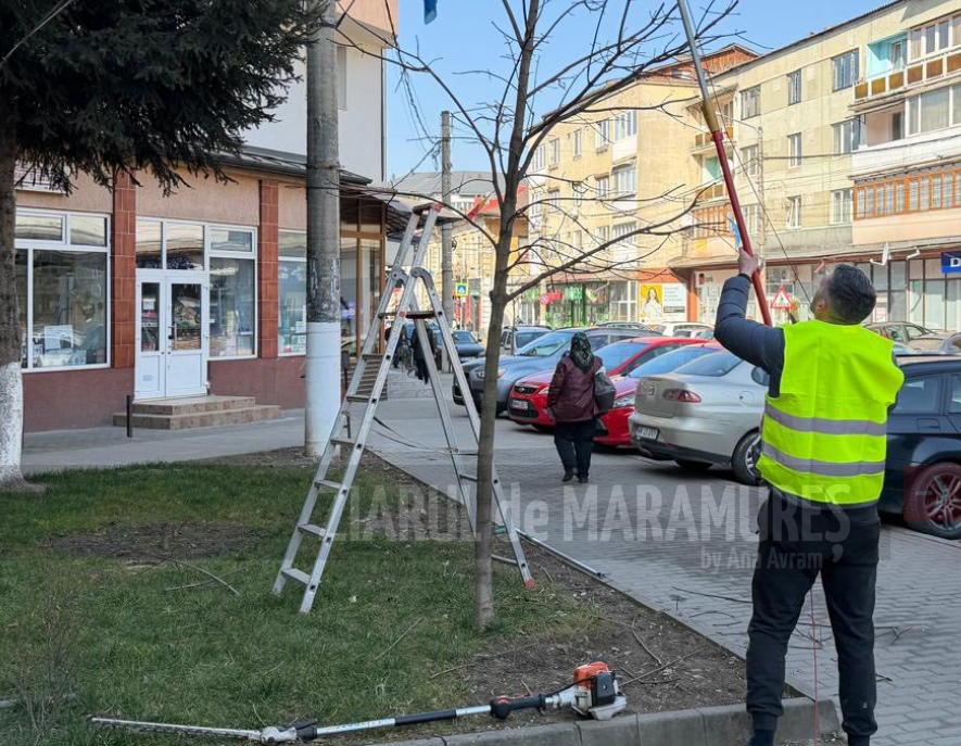 Primăria Vișeu de Sus a demarat acțiunea anuală de curățenie și întreținere a domeniului public