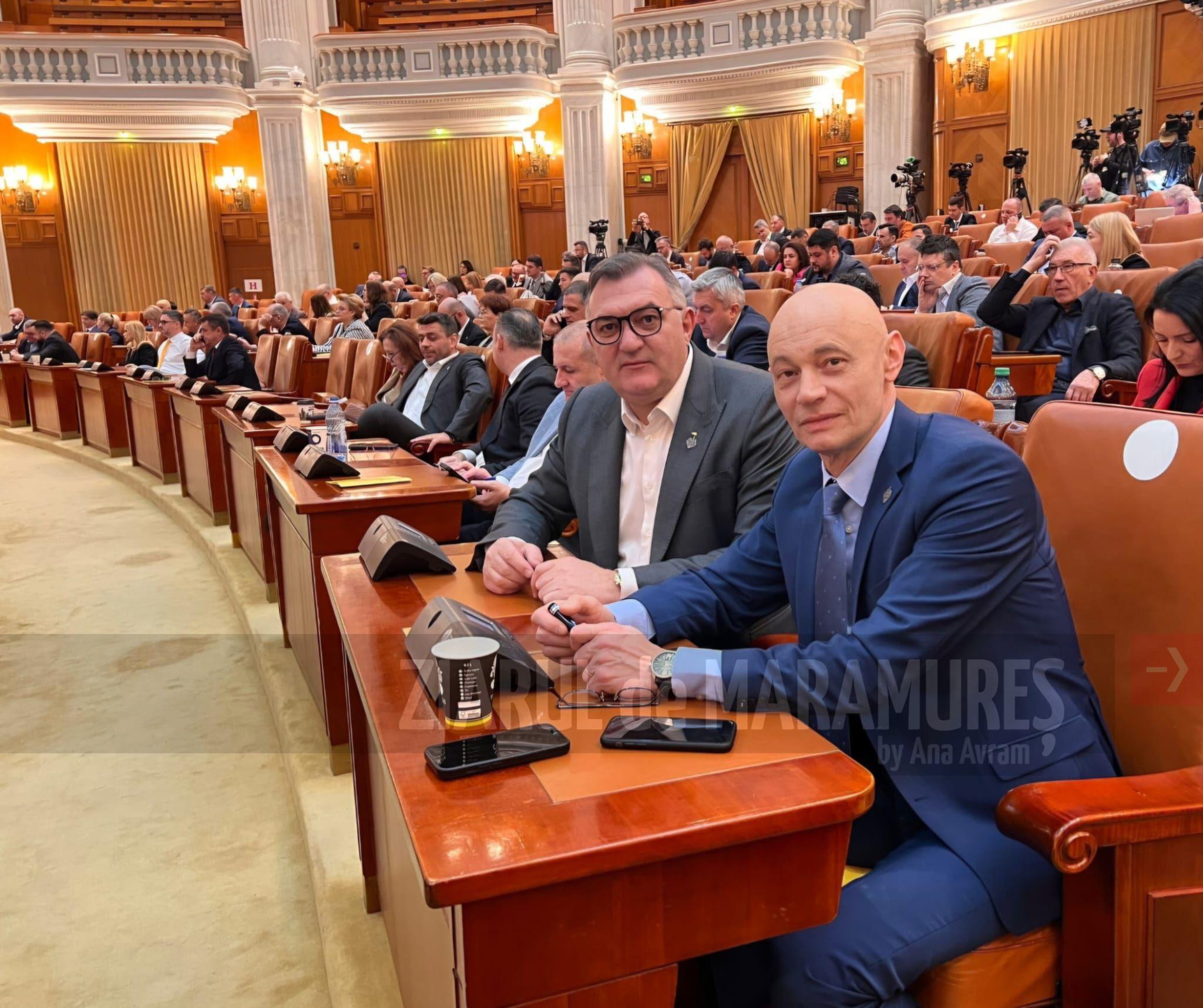 Sorin Vlasin, senator PSD: Bugetul de stat, un pas important pentru stabilitatea economică, într-un context global dificil