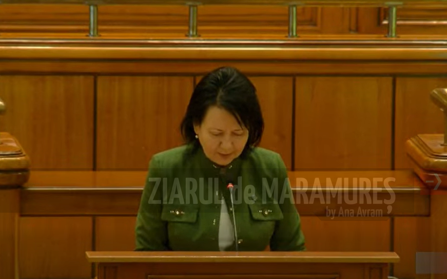 Deputat Crina Chilat a tras un semnal de alarmă cu privire la gestionarea migratiei la frontiera de nord a României