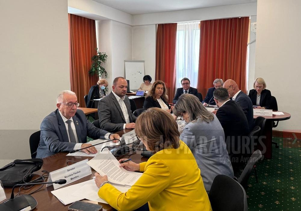 Cazul medicului agresat la Borșa a generat dezbateri in Comisia de sănătate din Senatul României