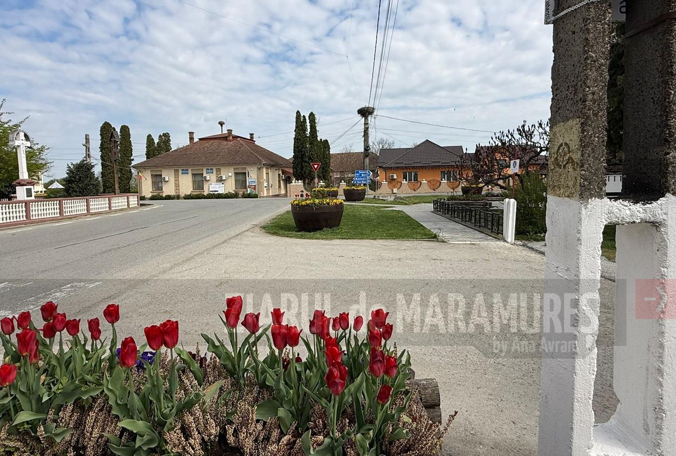 Luna MAI vine cu activități de cosire, curățarea văilor si a malurilor râului Somes, în UAT Miresu Mare