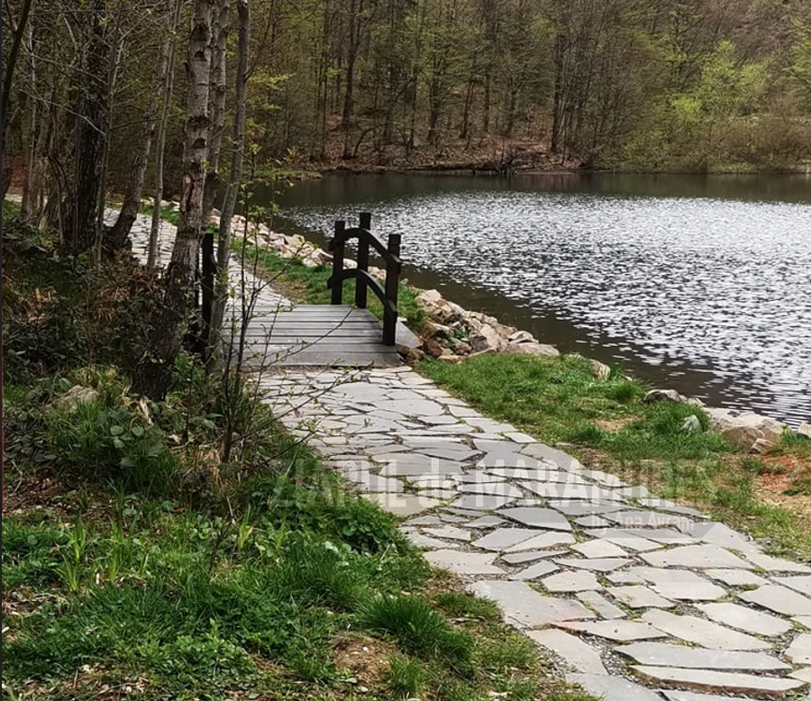 Primăria Baia Sprie pregăteste zona lacului Mogosa pentru sezonul estival