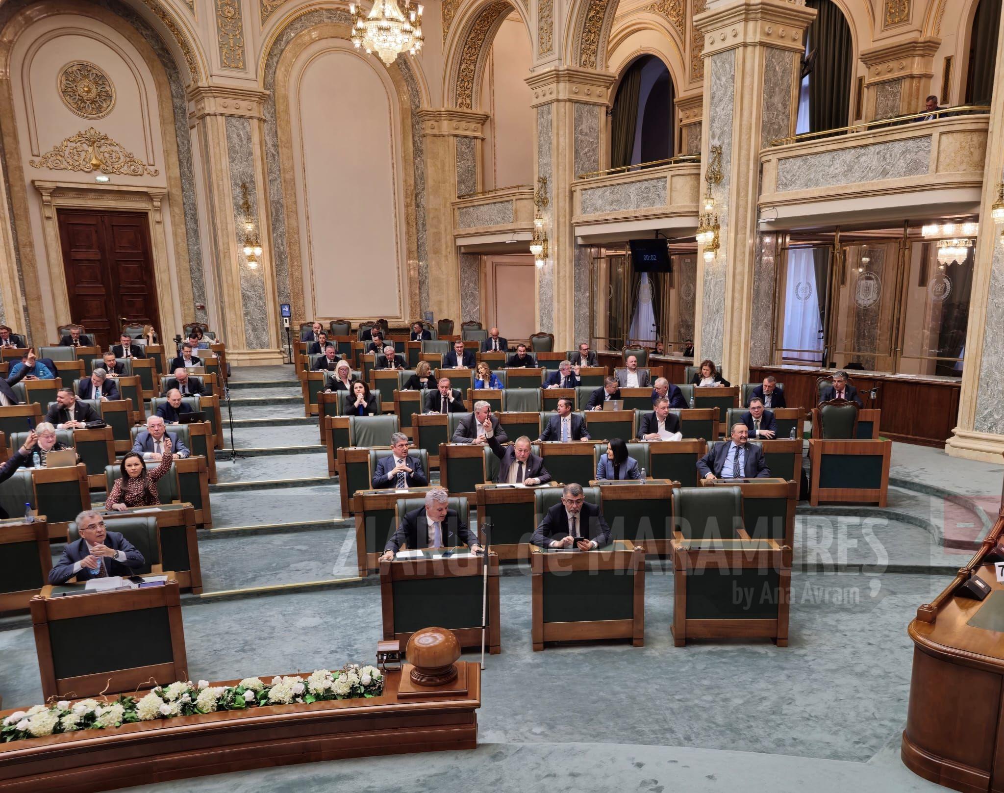 Senator Sorin Vlasin: Proiectul privind interzicerea vânzării activelor statului la companii strategice de interes național a trecut de Senat