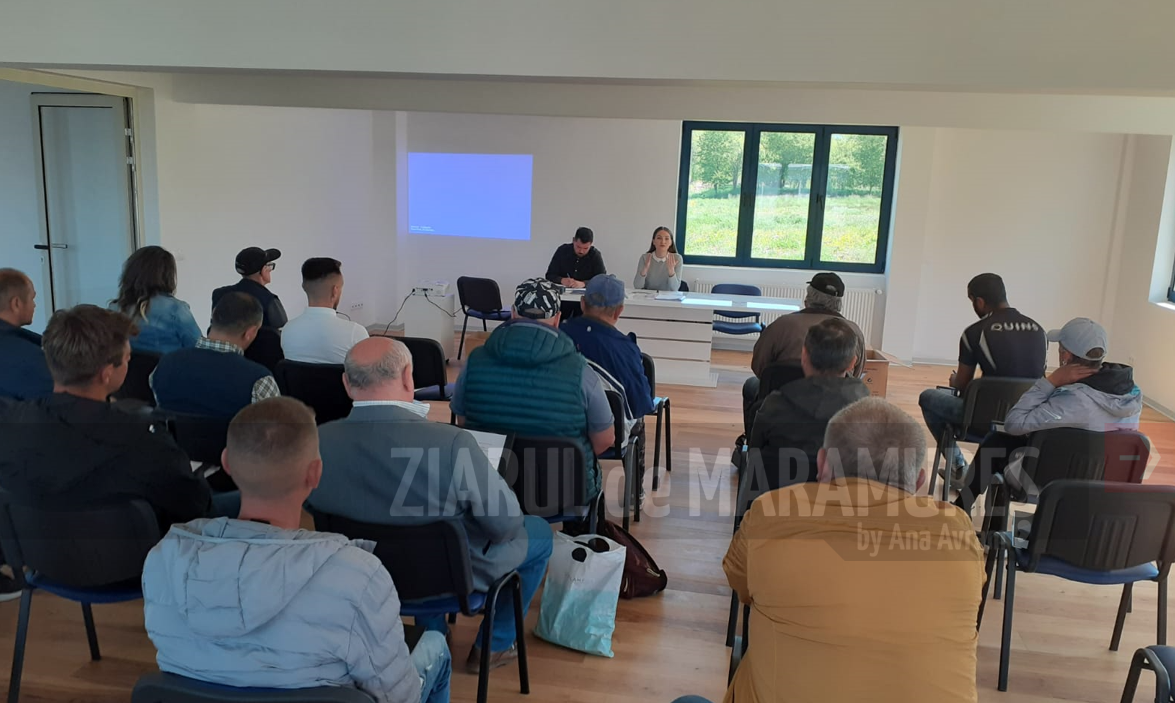 Serviciul de Probațiune Maramureș. Abordarea ”seamless” a reintegrării persoanelor sancționate penal – de la teorie la practică