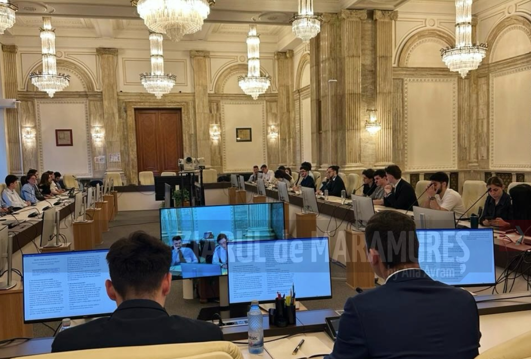 50 de tineri prezenti la evenimentul INVYS. Deputatul Ionel Bogdan a organizat o simulare a Comisiei pentru buget, finanțe și bănci din cadrul CD