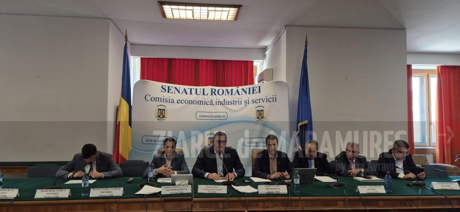 În Comisia Economică, Industrii și Servicii a Senatului. Plx-prorogarea termenului-limită până la care persoanele fizice pot achiziționa o locuință cu cota redusă de TVA de 9%