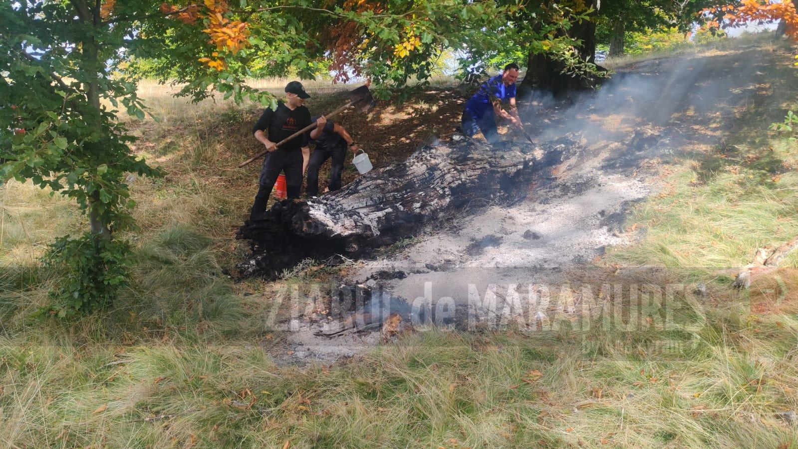 Jandarmii montani au prevenit izbucnirea unui incendiu în zona ariei protejate Creasta Cocoșului