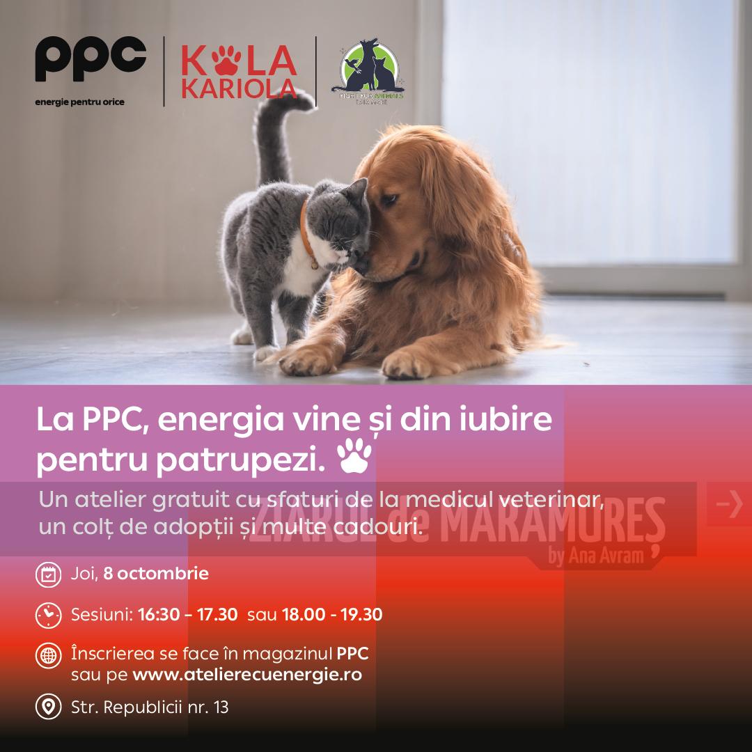 Atelier gratuit dedicat iubitorilor de animale, în magazinul PPC din Baia Mare