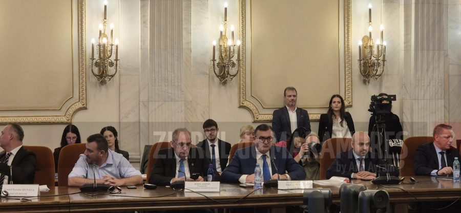 Senatorul Sorin Vlasin a participat la audierile din Comisia Economică din Senat