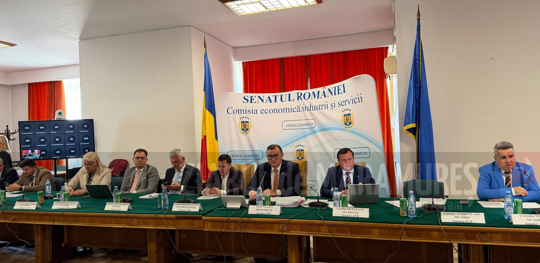 Legea care stabilește despăgubirea consumatorilor de către băncile care au manipulat indicele ROBOR a trecut de Comisia Economică a Senatului